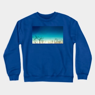 Leafless Tree Ombre Sky Crewneck Sweatshirt